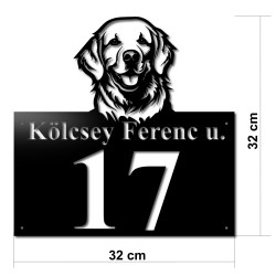 Labrador p02